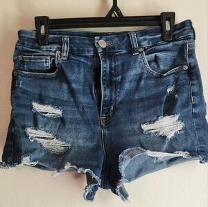 American Eagle Outfitters Blue Distressed Jean Shorts